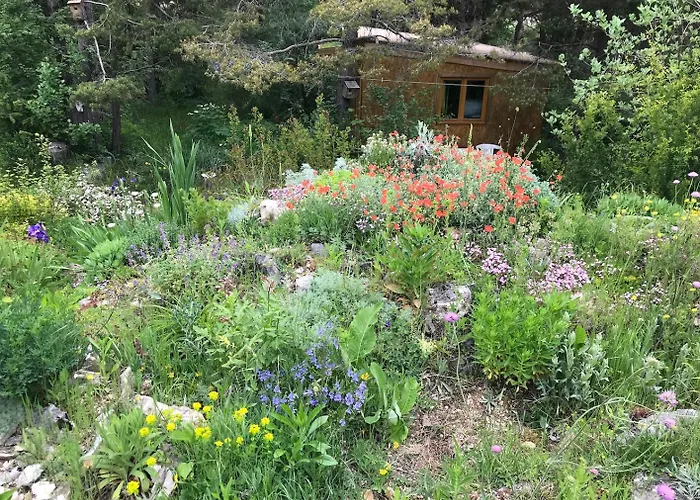 Sous Les Arbres * La Palud-sur-Verdon