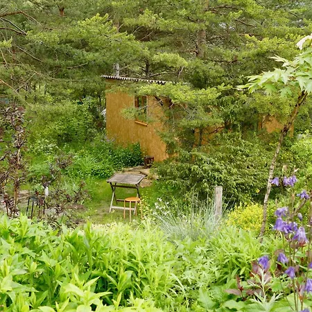 Sous Les Arbres * La Palud-sur-Verdon